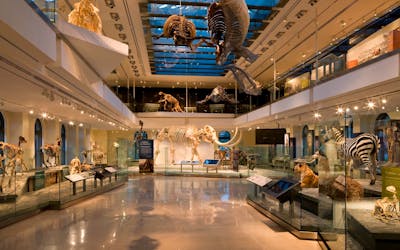 Entradas al Museo de Historia Natural de Los Ángeles